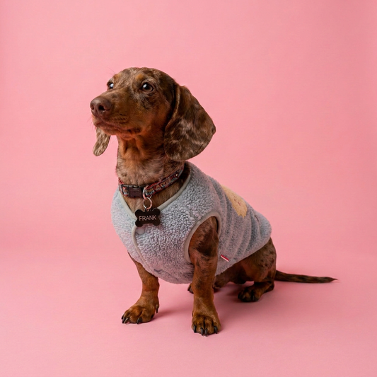 Polera Camarón Gris Lomitos para Perro Pequeño