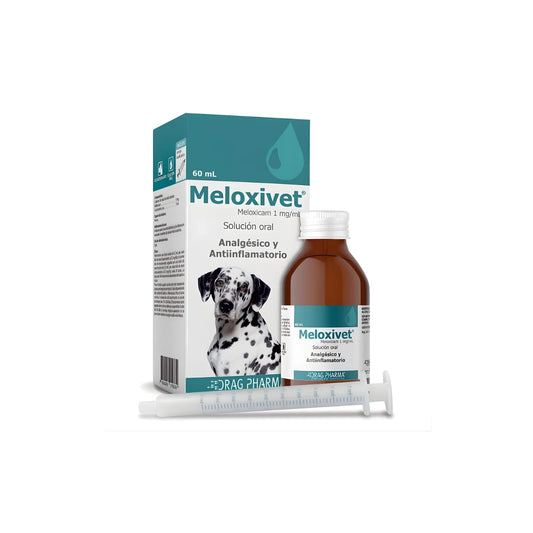 Drag Pharma Meloxivet Solución Oral para Perros 60 ml – Meloxicam 1 mg/ml para Alivio del Dolor e Inflamación por Osteoartritis.