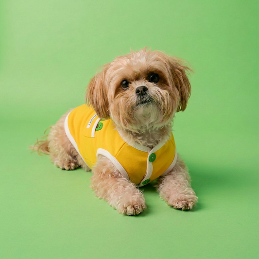 Polera Palta Lomitos para Perro Pequeño
