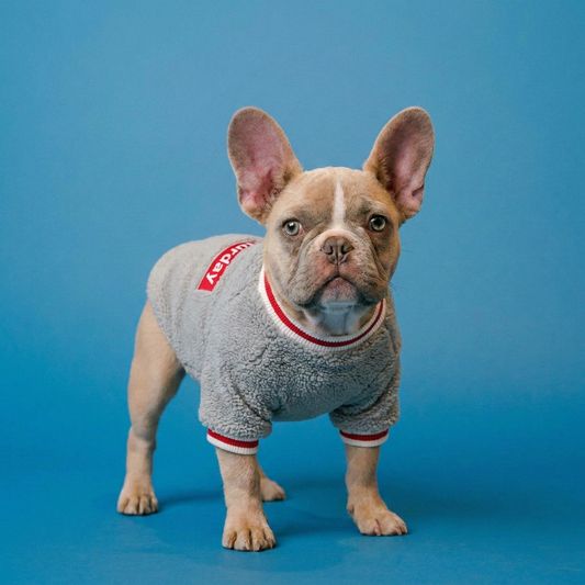 Polera Peludo Saturday Gris Lomitos para Perro Pequeño