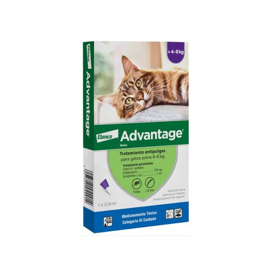 Elanco Advantage Pipeta Antiparasitaria para Gatos de 4 a 8 kg, 0.8 ml – Elimina Pulgas y Larvas de pulga en 24 Horas con Protección Residual de 4 Semanas